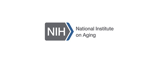 Our research on sleep spindles analysis is awarded by grant from the National Institute on Aging