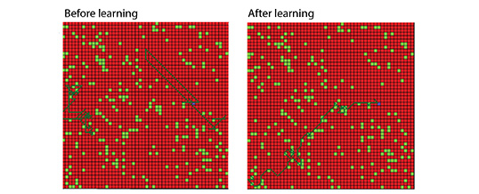 A Spiking Network Model of Decision Making Employing Rewarded STDP.  Skorheim S, Lonjers P, Bazhenov M. PLoS One. 2014 Mar 14;9(3):e90821.